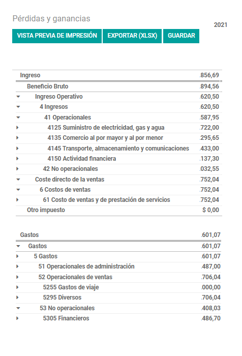 Informe de Pérdidas y ganancias generado por Odoo enterprise